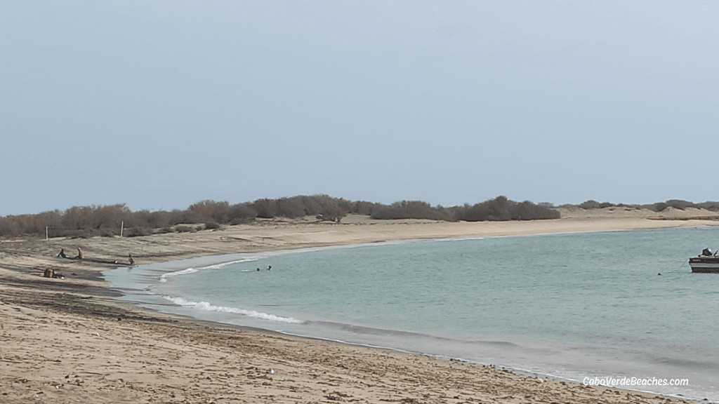A peaceful view of Baxona Beach in Calheta, with calm blue waters, mixed white and black sands, and traditional fishing boats resting along the shore.