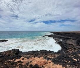 Ponta de Medronho
