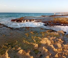 Ervatão Beach